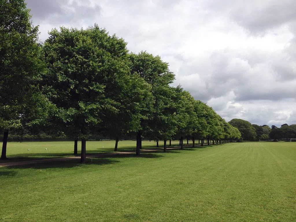Pontcanna, Cardiff: the Victorian village that became Wales's best dinner reservation