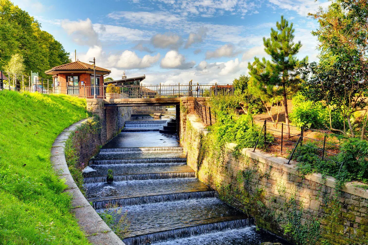 Roath, Cardiff: a Victorian lake, a Syrian grill strip and the city's most honest high street